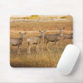 Tapis De Souris Cerf Mule (Odocoileus hemionus) Un à gauche avec (Avec souris)