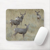 Tapis De Souris Cerf mulet D18 (Avec souris)