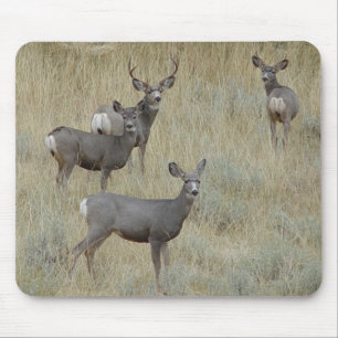 Tapis De Souris Cerf mulet D18