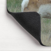 Tapis De Souris Cerf pronghorn A32 (Coin)