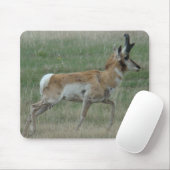 Tapis De Souris Cerf pronghorn A32 (Avec souris)