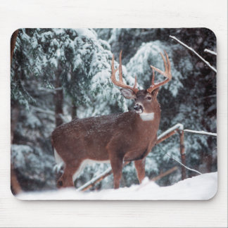 Tapis De Souris Cerfs communs dans la neige Mousepad