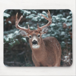 Tapis De Souris Cerfs communs dans la neige Mousepad