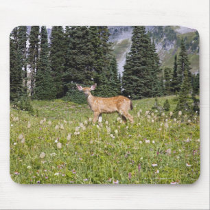 Tapis De Souris Cerfs communs en parc de paradis