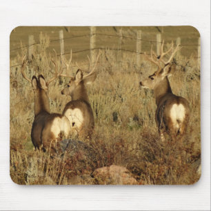 Tapis De Souris Cerfs mulet mâles D30