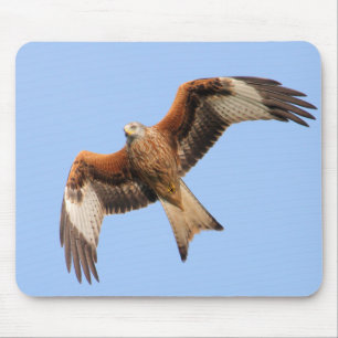 Tapis De Souris Cerfs-volants rouges sauvages