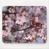Tapis De Souris Cerise Plum Tree rose (Devant)