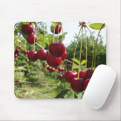 Tapis De Souris Cerises d'été (Avec souris)