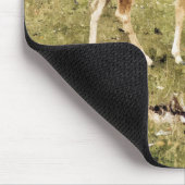 TAPIS DE SOURIS CERVEAU (Coin)