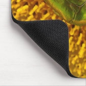 Tapis De Souris Cetonia aurata (Coin)