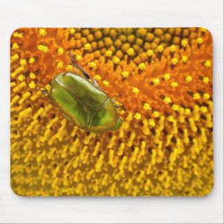Tapis De Souris Cetonia aurata