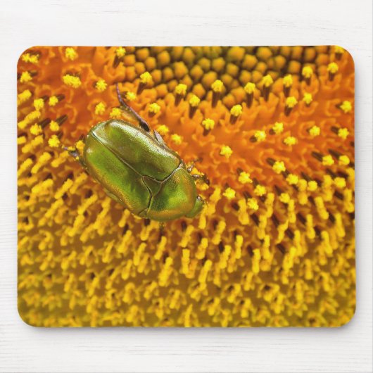 Tapis De Souris Cetonia aurata (Devant)