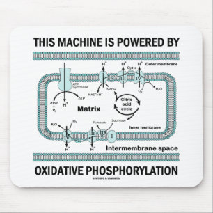 Tapis De Souris Cette Machine Alimentée Par La Phosphylation Oxida