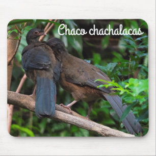 Tapis De Souris Chaco Chachalacas