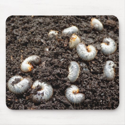 Tapis De Souris Chafer Larva Mouse Mat (Devant)