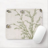 Tapis De Souris Chamaemelum Allioni nobile, c.1568 (Avec souris)