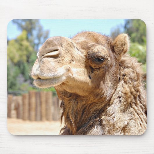 Tapis De Souris Chameau Mousepad (Devant)