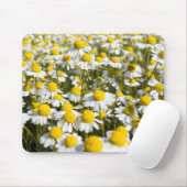 Tapis De Souris Champ chamomile, Hongrie (Avec souris)