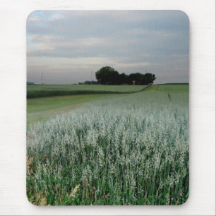 Tapis De Souris Champ de blé agricole du Midwest