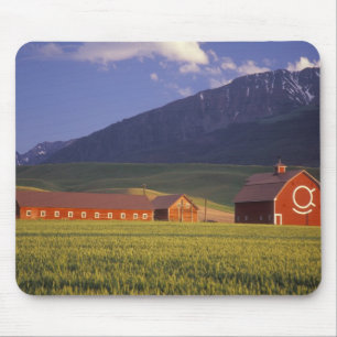 Tapis De Souris Champ de blé dans la vallée de Wallowa, juste à l'