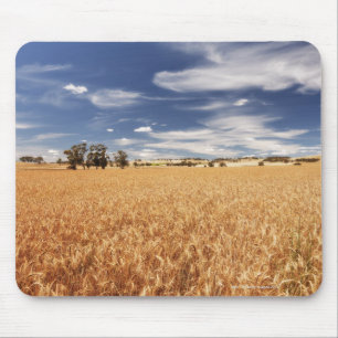 Tapis De Souris Champ de blé, Victoria, Australie