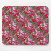 Tapis De Souris Champ de Cosmos..... (Devant)