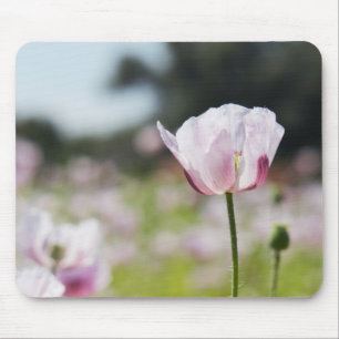 Tapis De Souris Champ de fleurs avec une fleur lilas en fleurs en