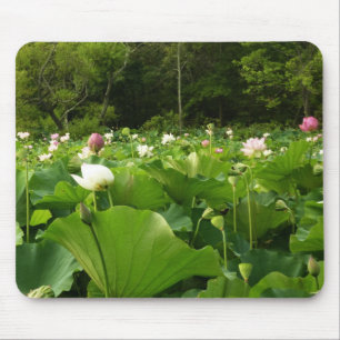 Tapis De Souris Champ de fleurs de Lotus Jardin d'été