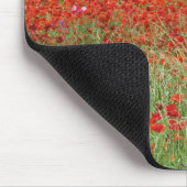 Tapis De Souris Champ de fleurs de pavot hybride planté le long de (Coin)