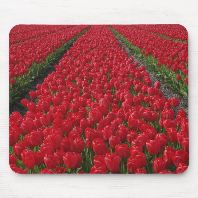 Tapis De Souris Champ de fleurs de tulipes, Pays-Bas, Hollande (Devant)