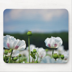 Tapis De Souris Champ de fleurs, fleur de pavot somnifère.
