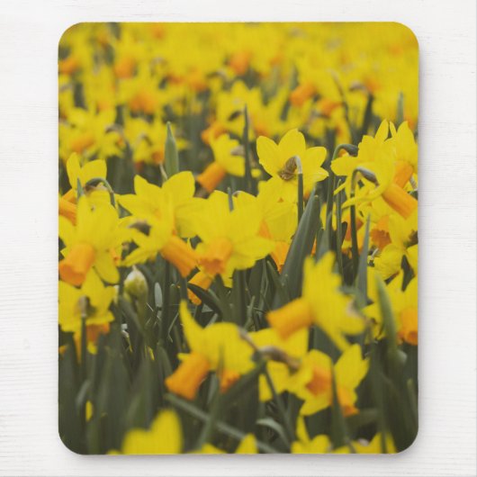 Tapis De Souris Champ de jonquilles (Devant)