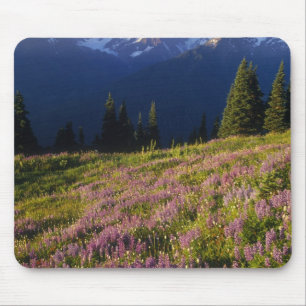 Tapis De Souris Champ de lupine, Mt Olympus et nuages à