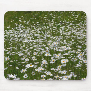 Tapis De Souris Champ de marguerites Fleurs sauvages de l'Alaska