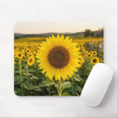 Tapis De Souris Champ de tournesols (Avec souris)