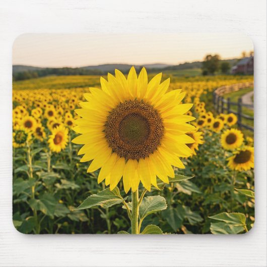 Tapis De Souris Champ de tournesols (Devant)
