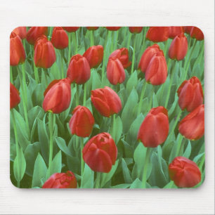 Tapis De Souris Champ de tulipes en fleurs au printemps.