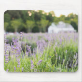Tapis De Souris Champ Lavande Tranquille (Devant)