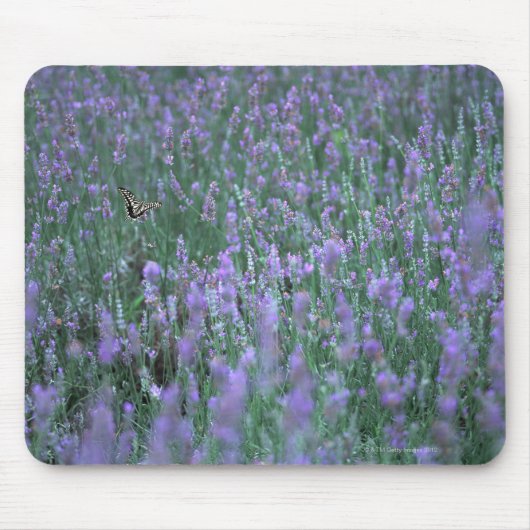 Tapis De Souris Champ Lavender (Devant)