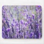 Tapis De Souris Champ Lavender (Devant)