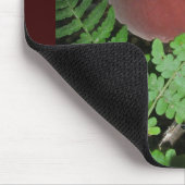 Tapis De Souris Champignon Mousepad de velours (Coin)