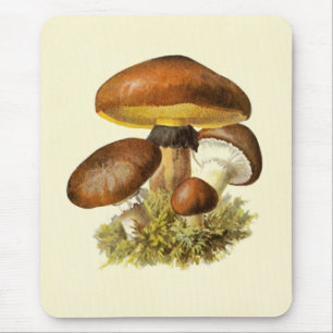 Tapis De Souris Champignon vintage Brown