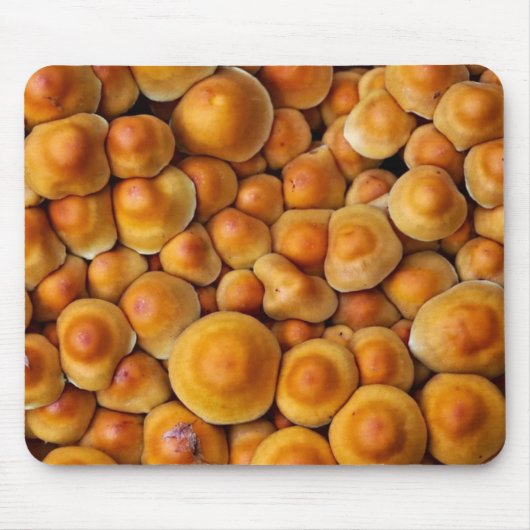 Tapis De Souris Champignons (Devant)