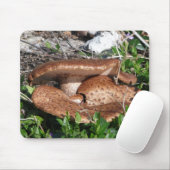 Tapis De Souris Champignons (Avec souris)