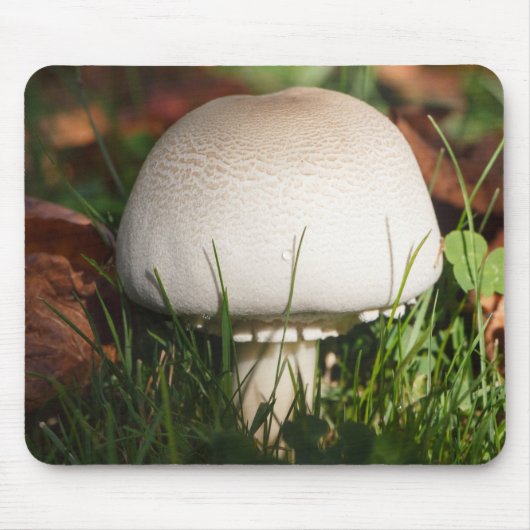 Tapis De Souris Champignons de campagne dans une forêt (Devant)