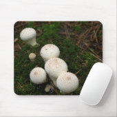 Tapis De Souris Champignons de vesse-de-loup de lycoperdon (Avec souris)