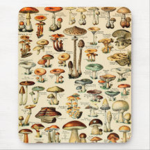 Champignons et champignons vintages
