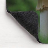 Tapis De Souris Champignons magiques (Coin)