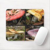 Tapis De Souris Champignons Mousepad (Avec souris)