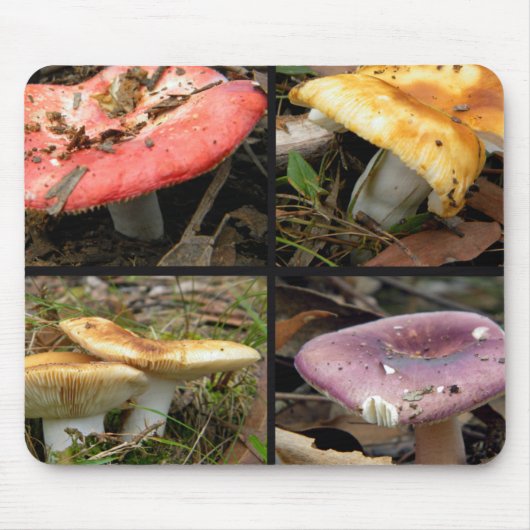 Tapis De Souris Champignons Mousepad (Devant)
